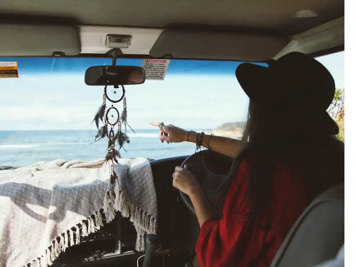 Budgie Campervan Driver View